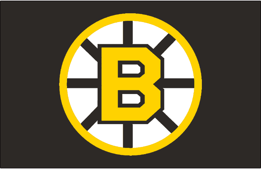 Boston Bruins 1955-1995 Jersey Logo t shirts DIY iron ons